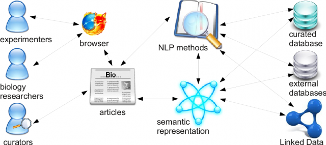 Integrating semantic support in curation, analysis and retrieval